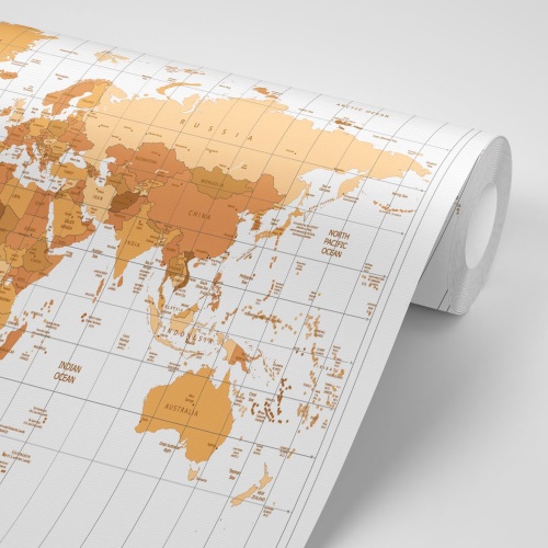 Tapeta béžová mapa sveta na svetlom pozadí