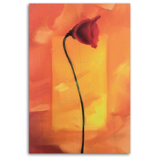 Obraz na plátně Mák Červený květ Příroda