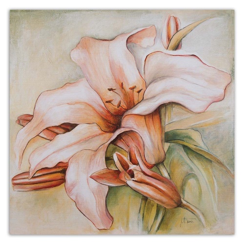 Obraz na plátně Lilie Květina Příroda