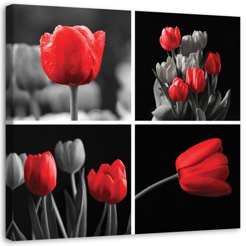 Obraz na plátně Sada červených tulipánů