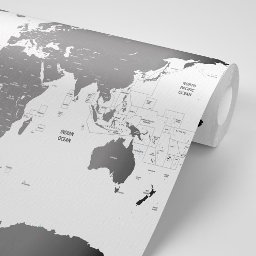 Samolepiaca tapeta mapa sveta s jednotlivými štátmi v šedej farbe