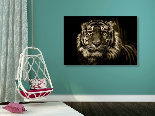 Obraz tiger v sépiovom prevedení