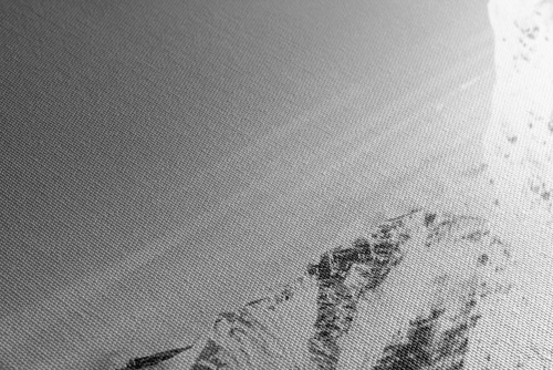Obraz zasnežené pohorie v čiernobielom prevedení