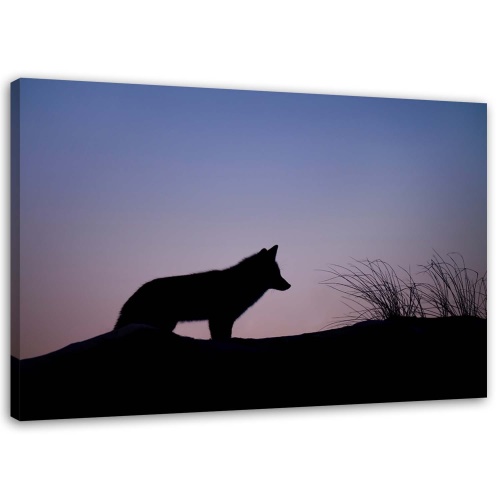 Obraz na plátně Wolf Purple Sunset