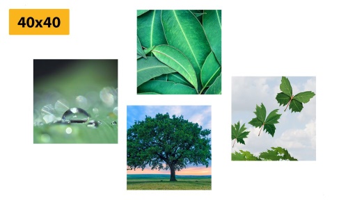Set obrazov príroda plná zelene
