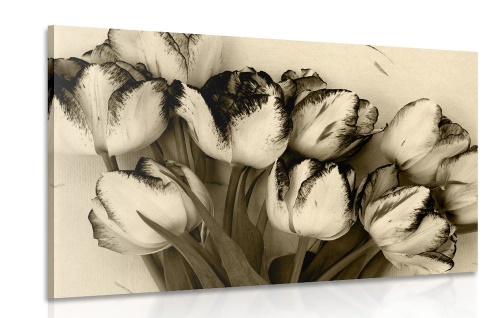 Obraz jarné tulipány v sépiovom prevedení