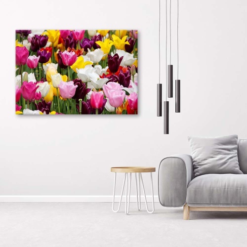 Obraz na plátně Barevné luční květy tulipánů