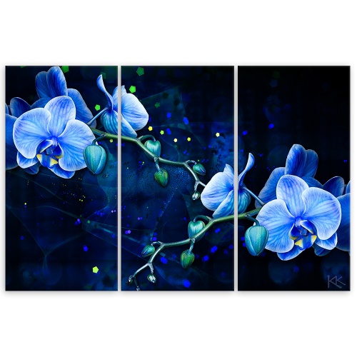 Obraz na plátně třídílný, Modrý orchidej