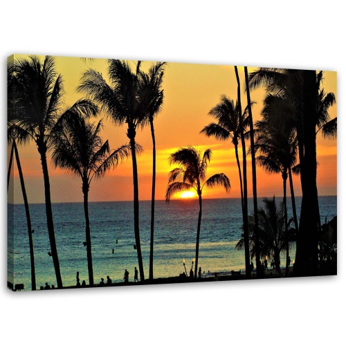 Obraz na plátně Palmy při západu slunce na pláži