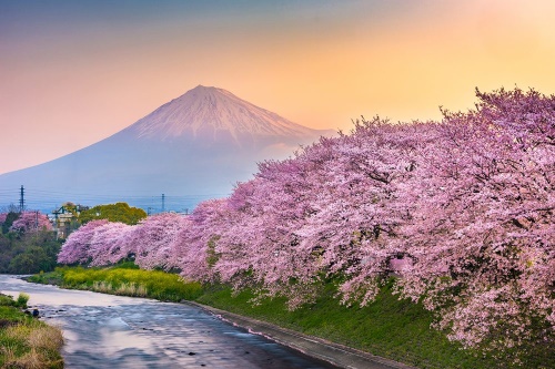 Samolepiaca fototapeta nádherné Japonsko