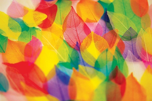Tapeta listy v jesenných farbách