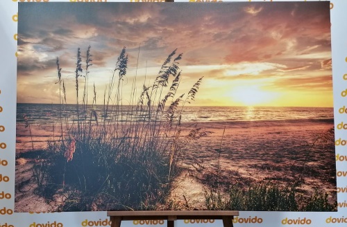Obraz západ slnka na pláži