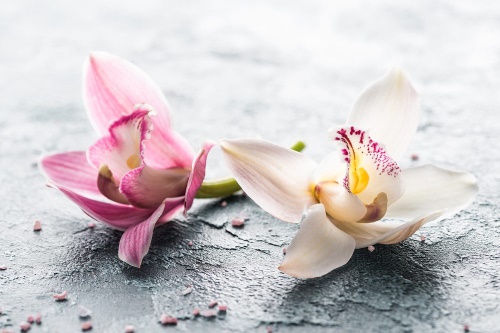 Samolepiaca fototapeta kvety orchidey