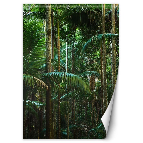Fototapeta, Tropické stromy na ostrově