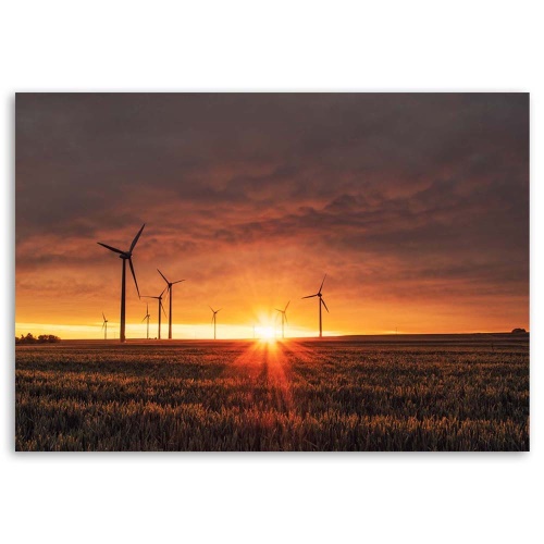 Obraz na plátně Větrné mlýny při západu slunce