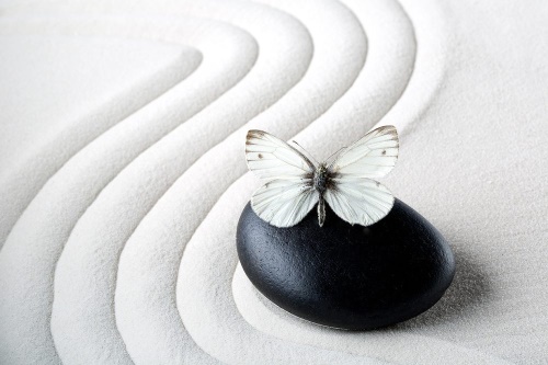 Samolepiaca tapeta Zen kameň s motýľom