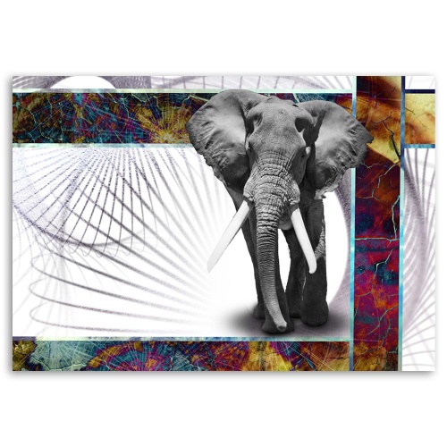 Obraz na plátně Sloni Zvířata