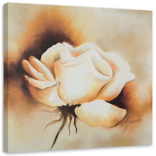 Obraz na plátně Růže Květina Bílá příroda
