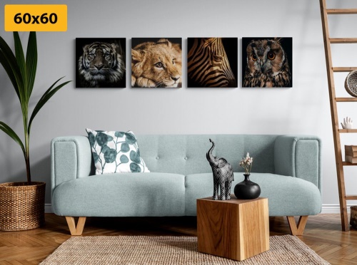 Set obrazov divoké zvieratá