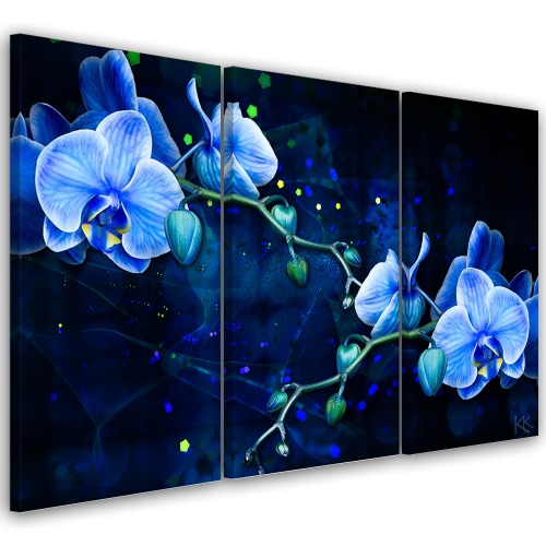 Obraz na plátně třídílný, Modrý orchidej