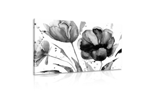 Obraz nádherné čiernobiele tulipány v zaujímavom prevedení
