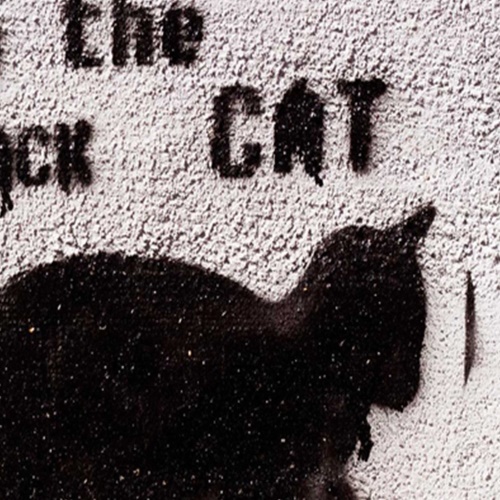 Ozdobný paraván Street Art Cat Graffiti