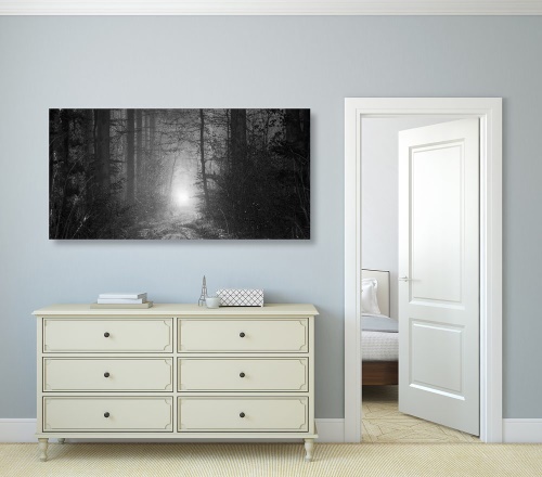 Obraz svetlo v lese v čiernobielom prevedení