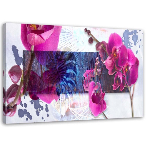 Obraz na plátně Orchidejová abstrakce růžová