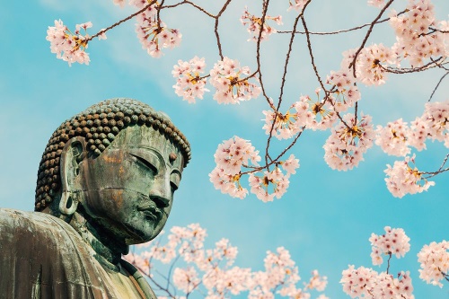 Samolepiaca fototapeta socha Budhu s čerešňou