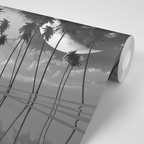 Samolepiaca tapeta čiernobiele tropické palmy