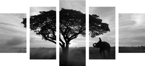 5-dielny obraz slon pri východe slnka v čiernobielom prevedení