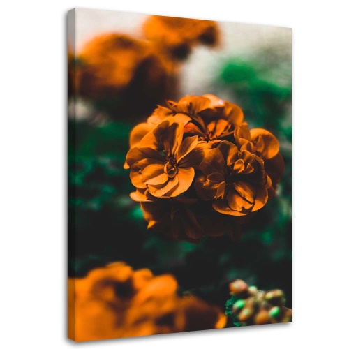 Obraz na plátně Oranžové květy