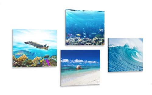 Set obrazov morský svet