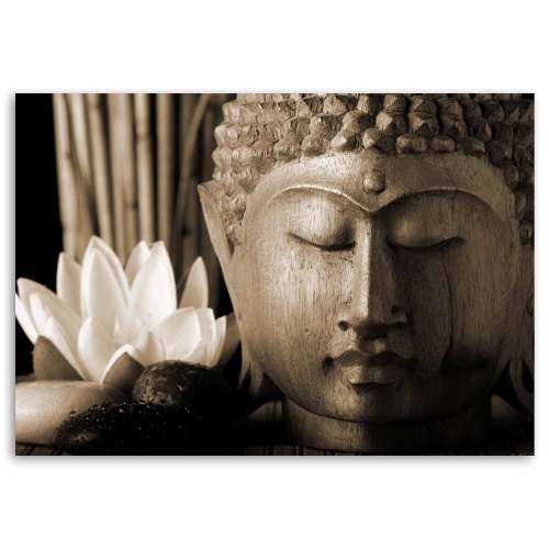 Obraz na plátně Buddha a lilie Květina Brown