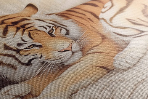 Obraz zasnený tiger