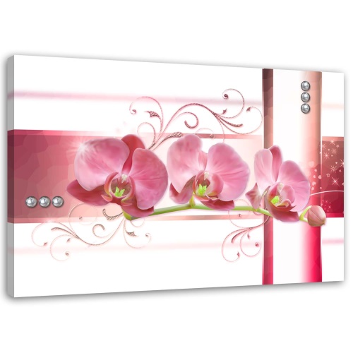 Obraz na plátně Růžový květ orchideje