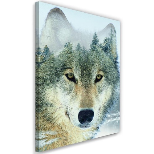 Obraz na plátně, Vlk Zvíře Les Příroda
