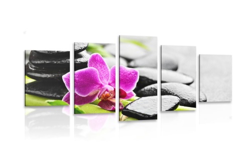 5-dielny obraz wellness zátišie s fialovou orchideou