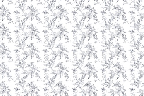 Samolepiaca tapeta nežná ľalia v bielom prevedení - 75x1000 cm