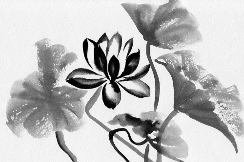 Samolepiaca tapeta akvarelový čiernobiely lotosový kvet