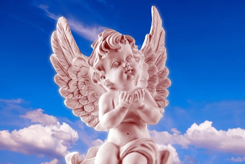 Obraz ružový starostlivý anjelik na nebi