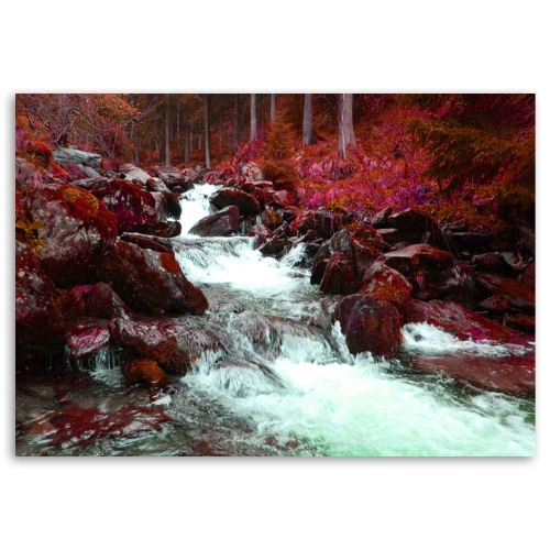 Obraz na plátně Horský potoční les červený