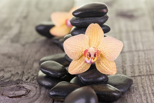 Fototapeta orchidea a Zen kamene