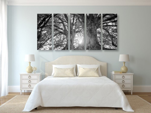 5-dielny obraz čiernobiele majestátne stromy