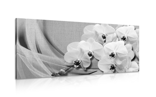 Obraz orchidea na plátne v čiernobielom prevedení