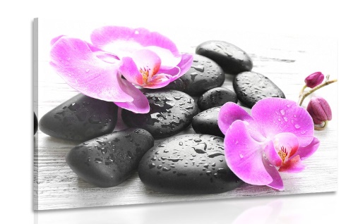 Obraz krásna súhra kameňov a orchidey