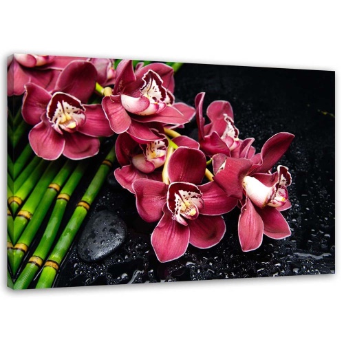 Obraz na plátně Růžová orchidej Bamboo Zen