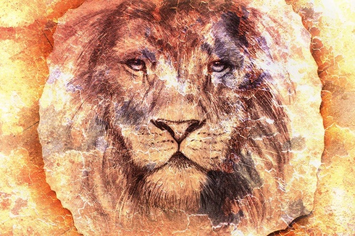 Samolepiaca tapeta tvár leva