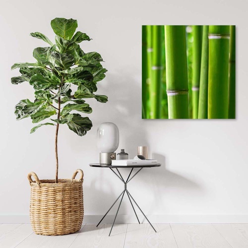 Obraz na plátně Bambusové zenové lázně Nature
