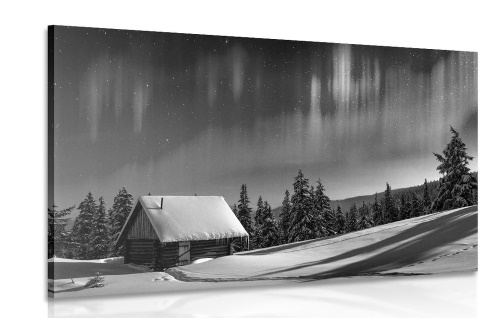Obraz rozprávková zimná krajina v čiernobielom prevedení